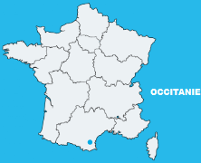 PROJET VITIVOLTAÏQUE CULTURE & TRACKERS 11